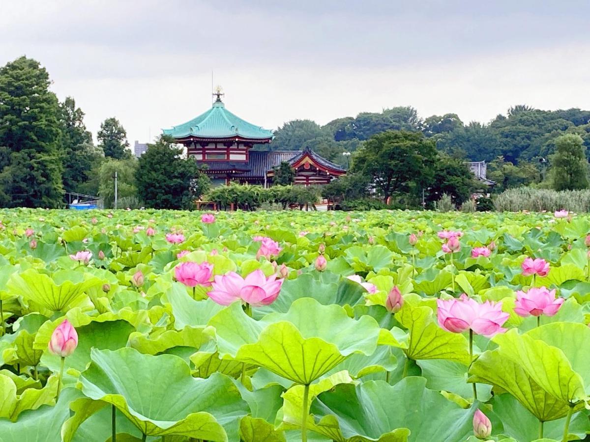 Guest House Siesta โตเกียว ภายนอก รูปภาพ